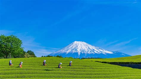 大阪から静岡 バス 〜時空を超える旅の物語〜